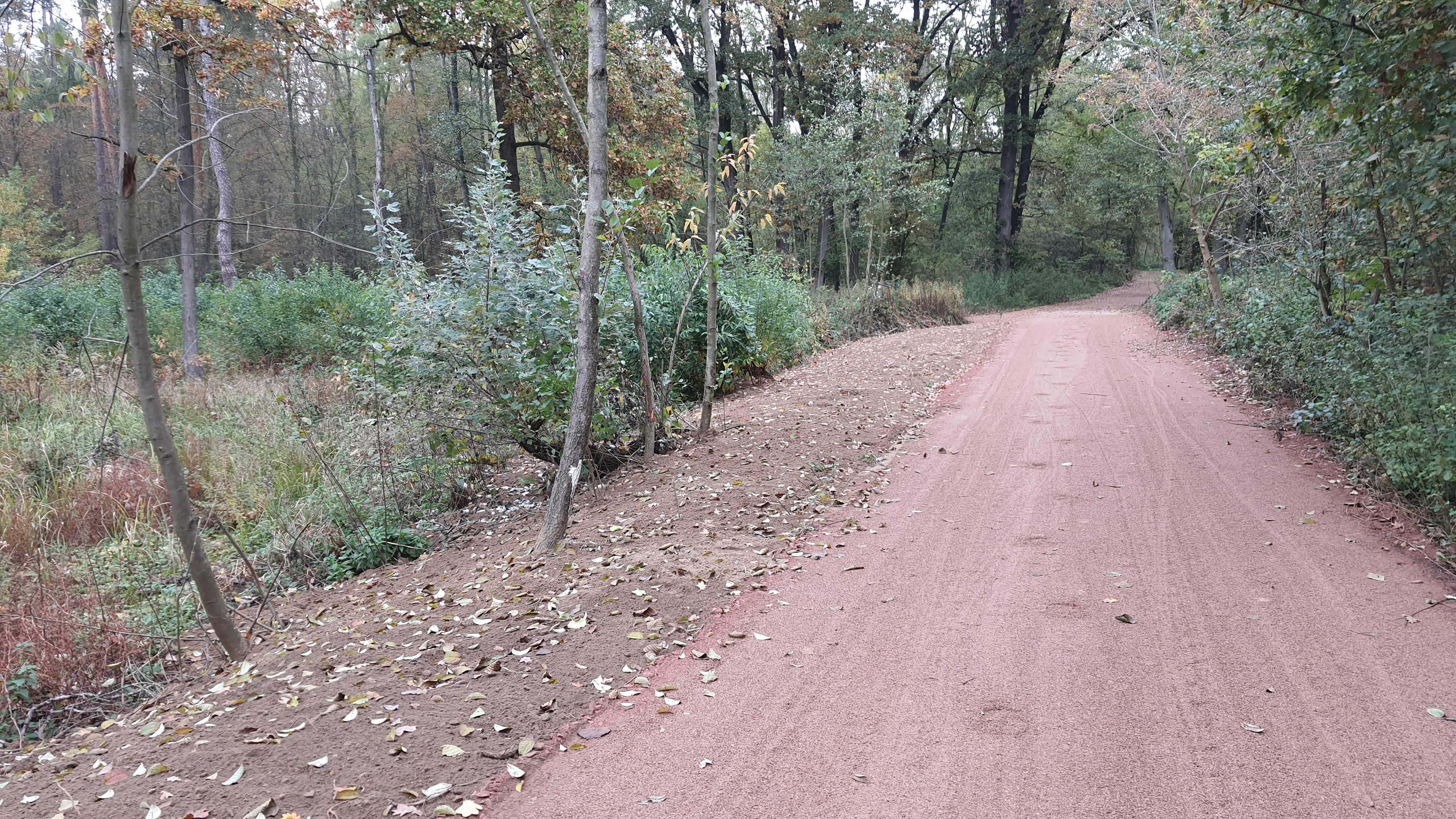 Z realizace lesní cesty ke Kohútku