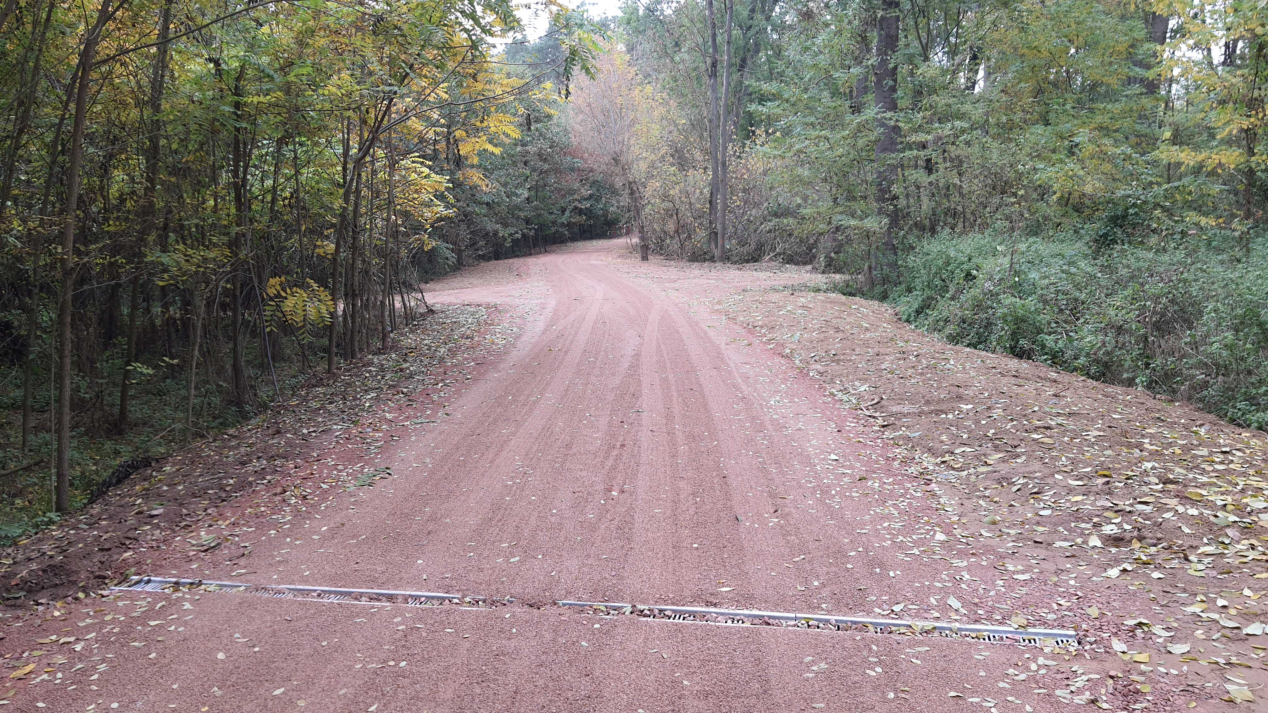 Lesní cesta v lokalitě Stupava