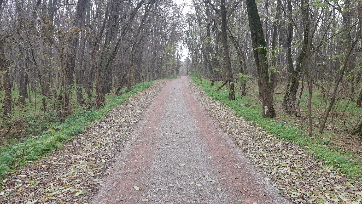 foto2